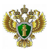 article205.jpg